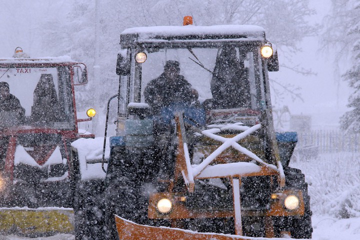 Вследствие на бурния вятър са изкорени и паднали дървета и