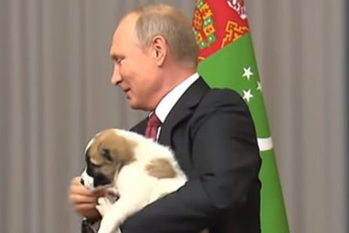 Руският държавен глава получи като дар малко куче от породата