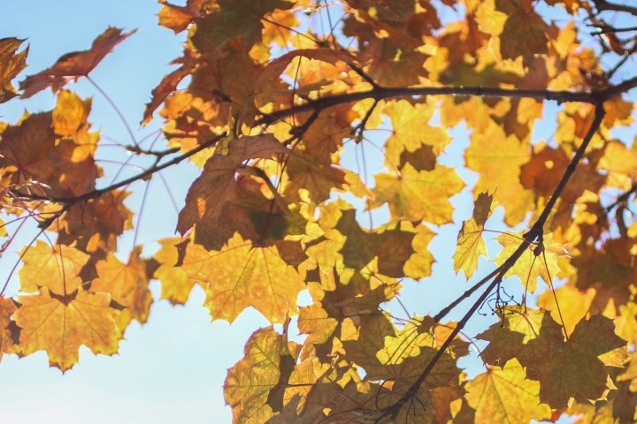 Днес ще има високи за края на октомври температури от