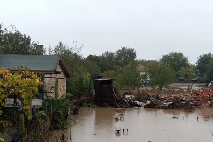 Направени са актове на техните стопани и са издадени предписания