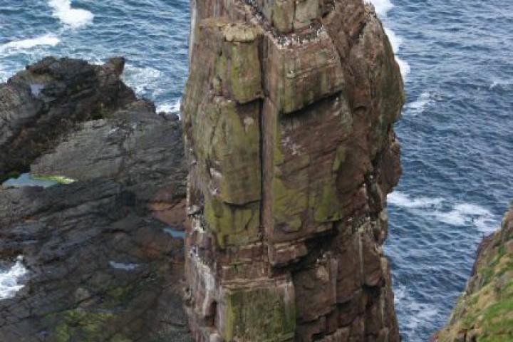 Става въпрос за необитаемия остров Ханда на който живеят над