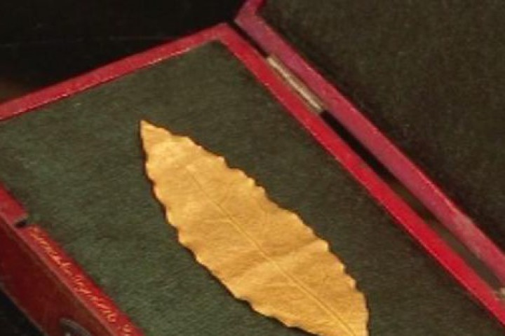 Лавровото листо с тегло 10 грама е с размер 9 2