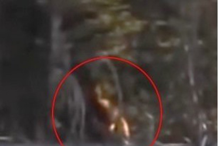 Семейството се разхождало сред природата когато забелязало странното същество За