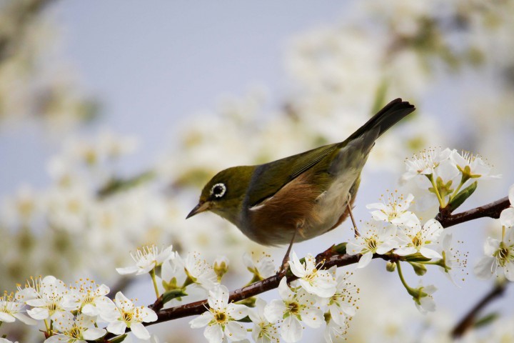 Тази сутрин температурите бяха от минус 7 градуса на места